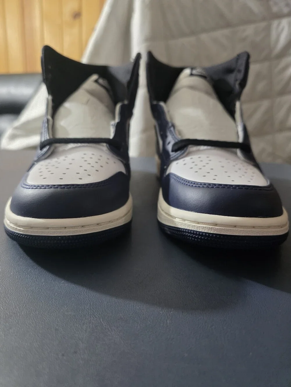 Jordan iconic low